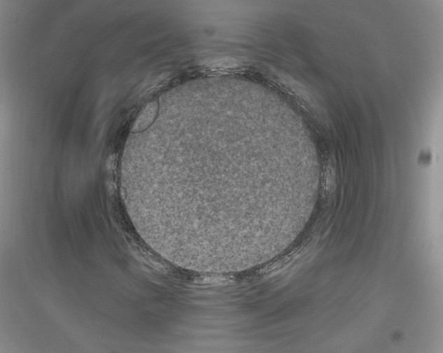 X0000116851346201002021037