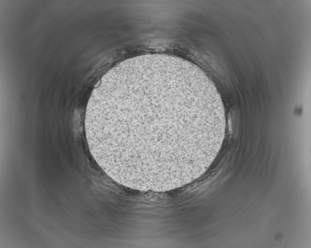 X0000116851347201002021037