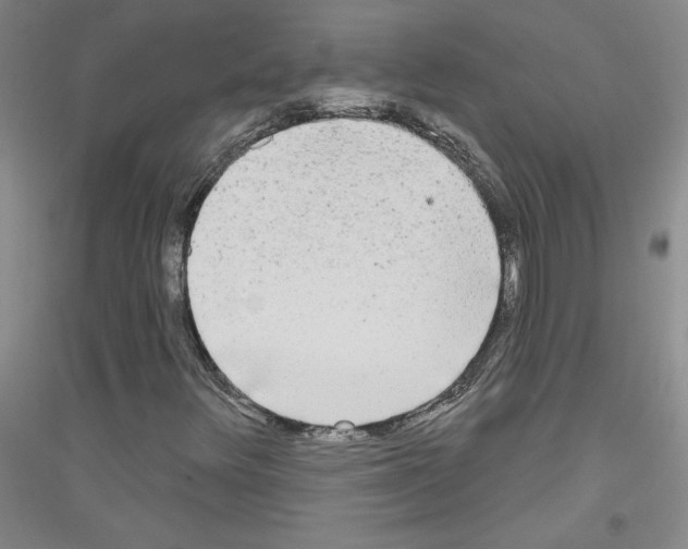 X0000116851348201002021037