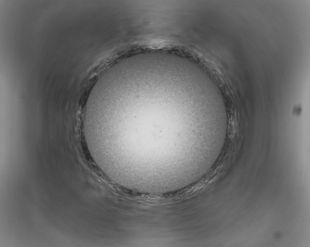 X0000116851349201002021037