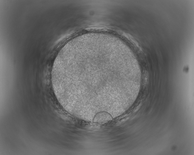 X0000116851350201002021037