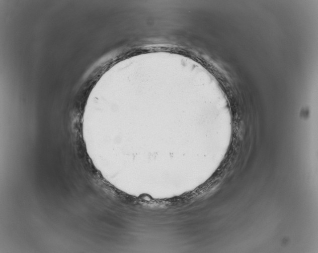 X0000116851351201002021037