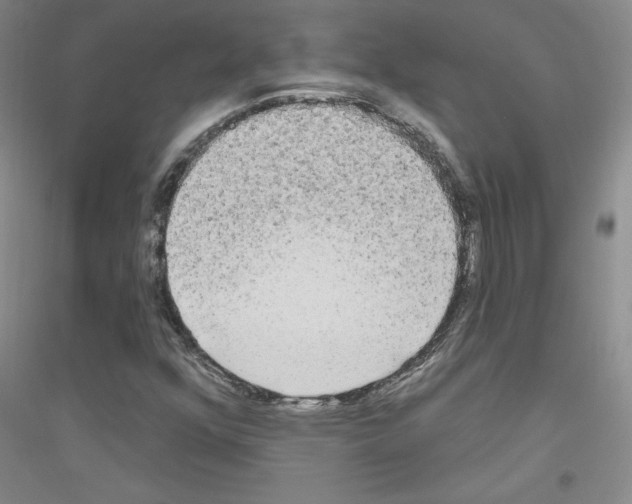 X0000116851352201002021037