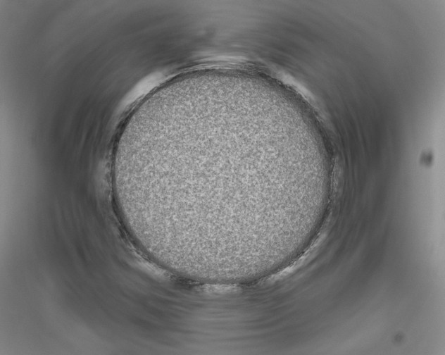 X0000116851354201002021037