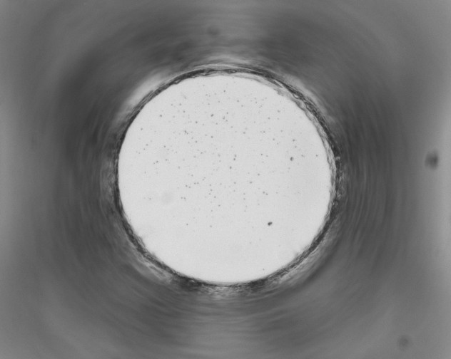 X0000116851355201002021036
