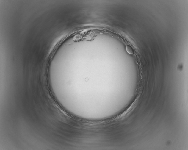 X0000116851357201002021036
