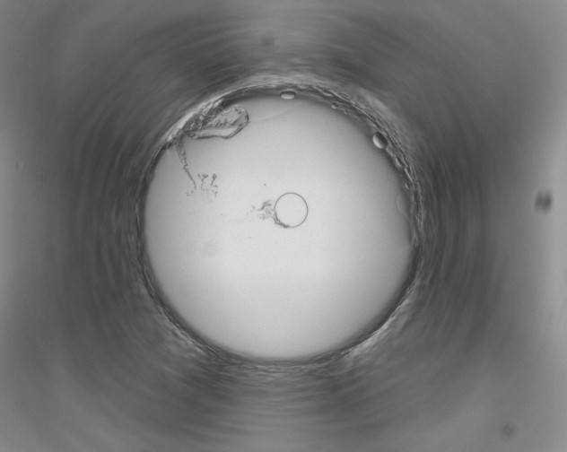 X0000116851361201002021036