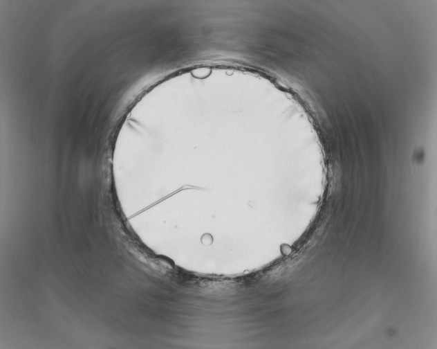 X0000116851363201002021036