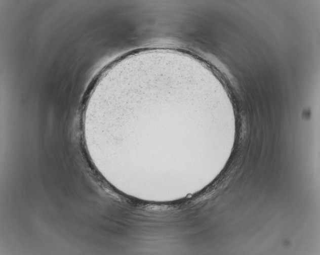 X0000116851364201002021036
