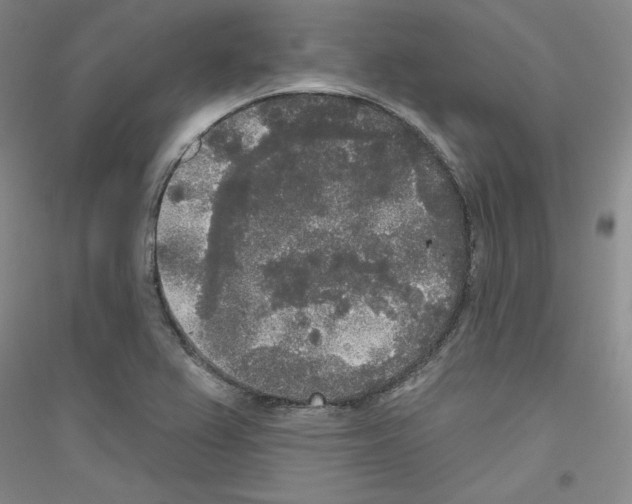 X0000116851367201002021036