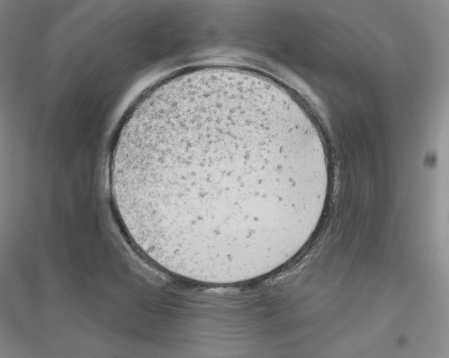 X0000116851368201002021036