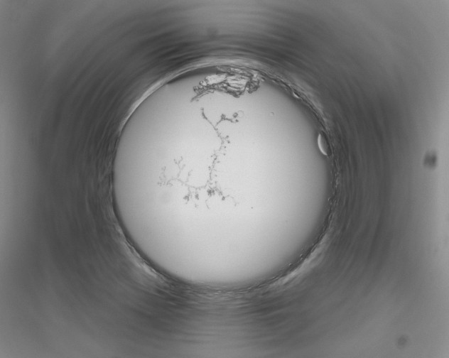 X0000116851369201002021036