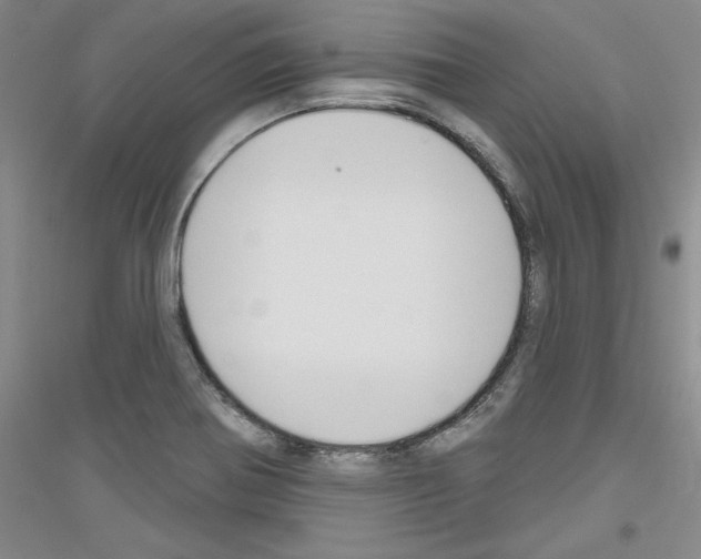 X0000116851370201002021036