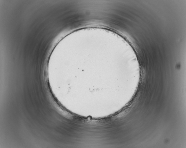 X0000116851371201002021036