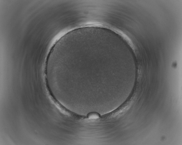 X0000116851373201002021036