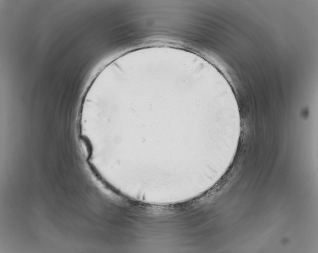 X0000116851379201002021036