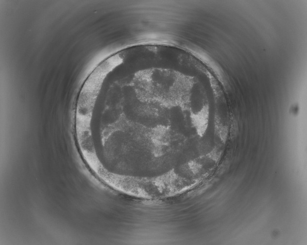 X0000116851383201002021036