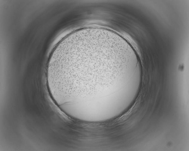X0000116851384201002021036