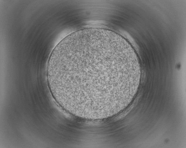 X0000116851386201002021036