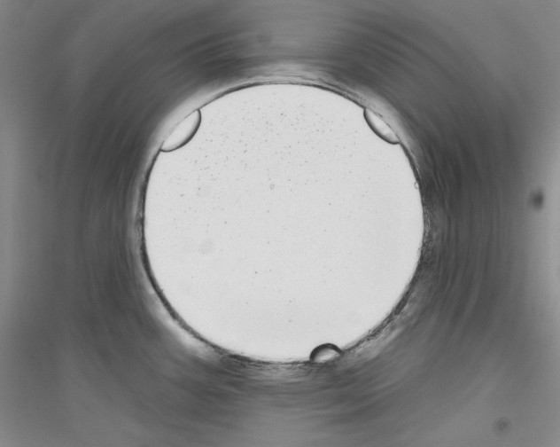 X0000116851387201002021036