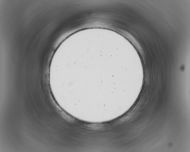 X0000116851388201002021036