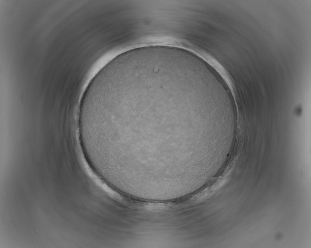 X0000116851389201002021036