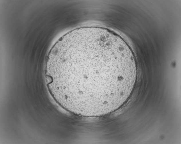 X0000116851390201002021036