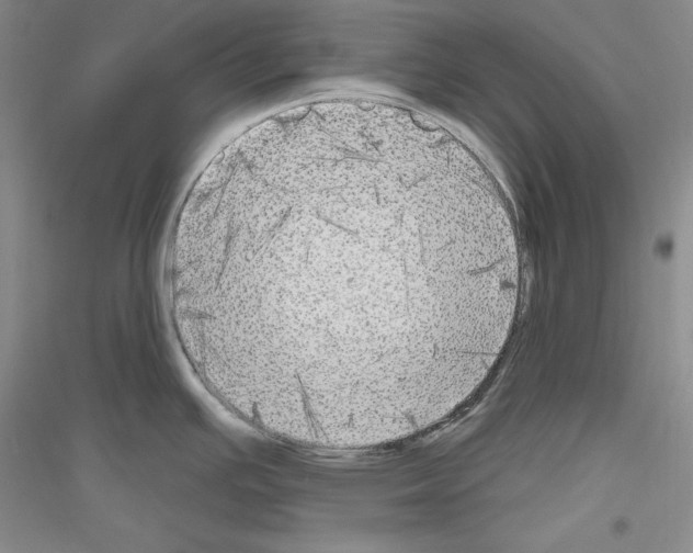 X0000116851391201002021036