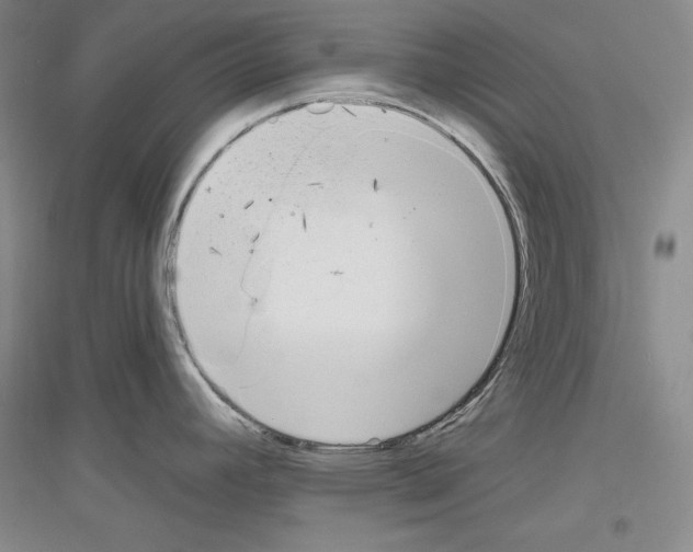X0000116851392201002021036