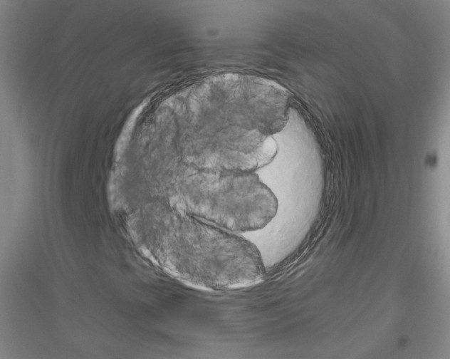 X0000116851393201002021035