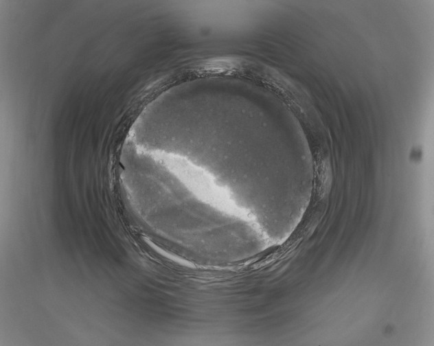 X0000116851394201002021035