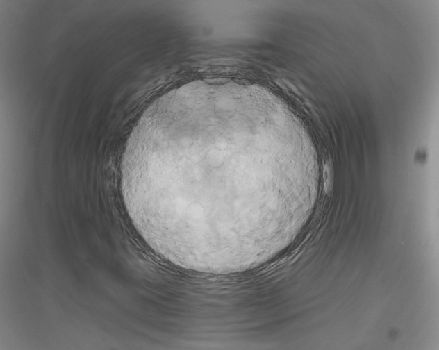 X0000116851395201002021035
