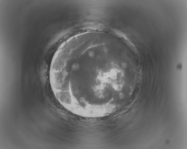 X0000116851399201002021035