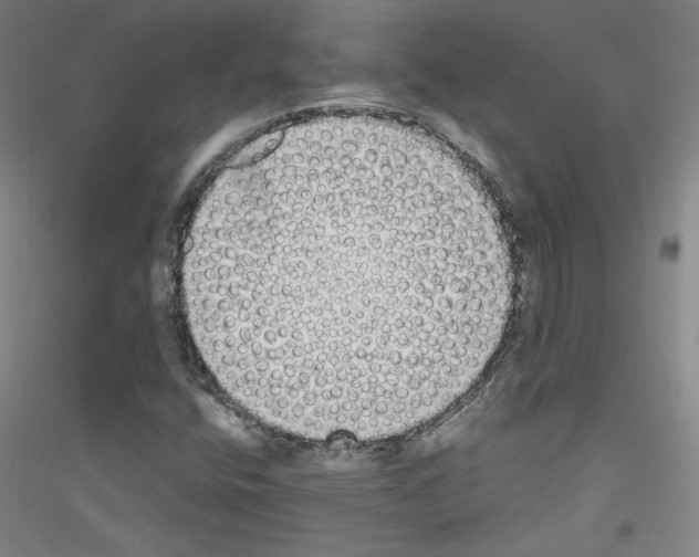 X0000116851400201002021035