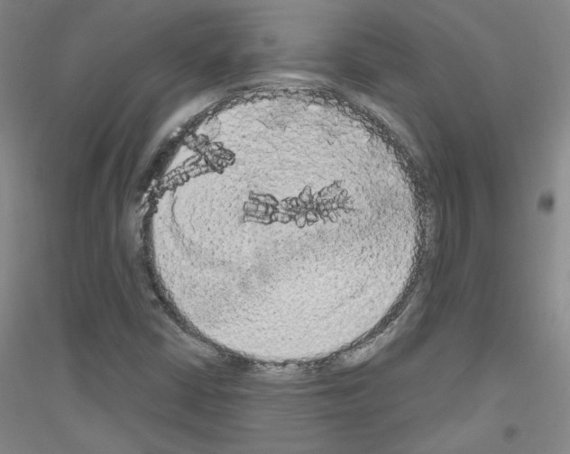 X0000116851402201002021035