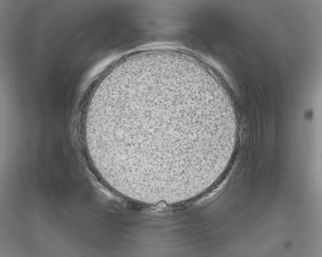 X0000116851406201002021035