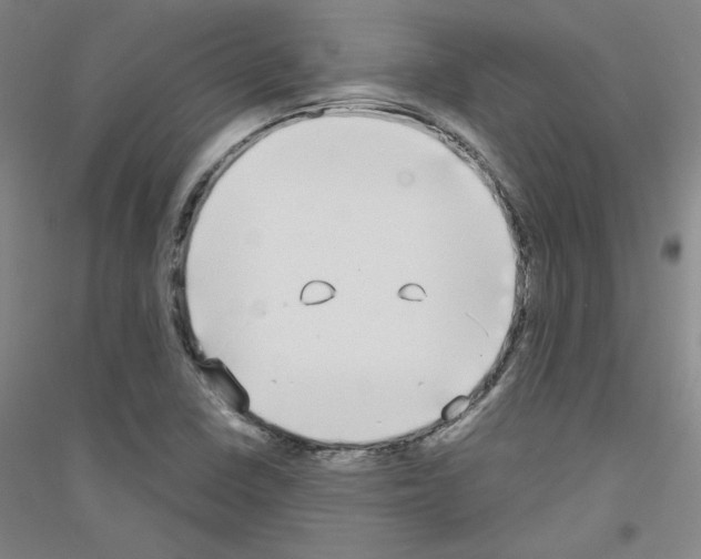 X0000116851410201002021035