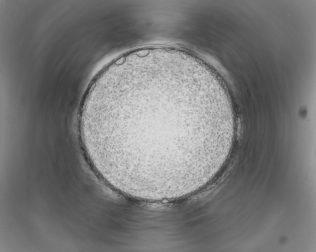 X0000116851412201002021035