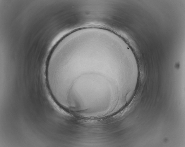 X0000116851422201002021036