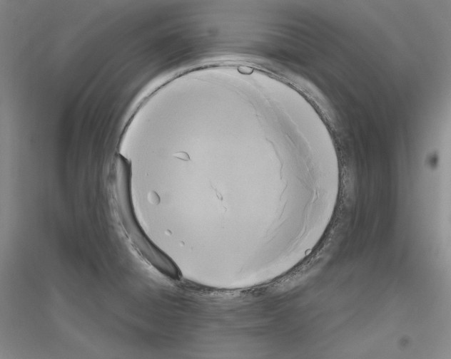 X0000116851428201002021036