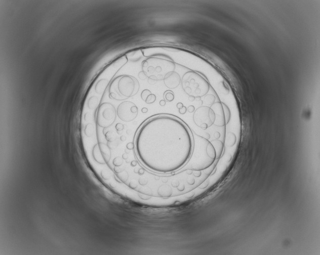 X0000116851432201002021036