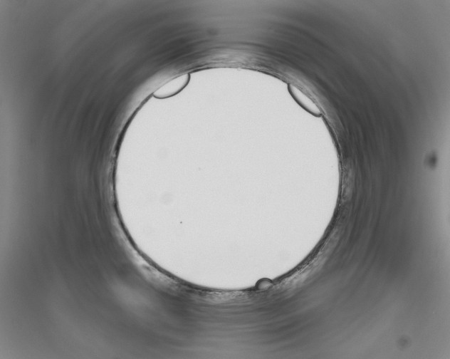 X0000116851434201002021036