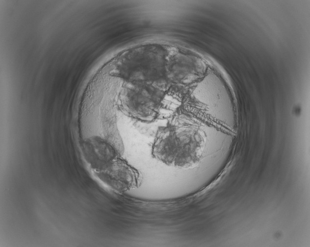 X0000116851437201002021036