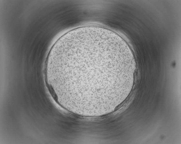 X0000116851438201002021036
