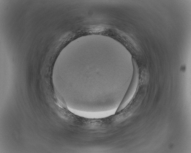 X0000116851441201002021035