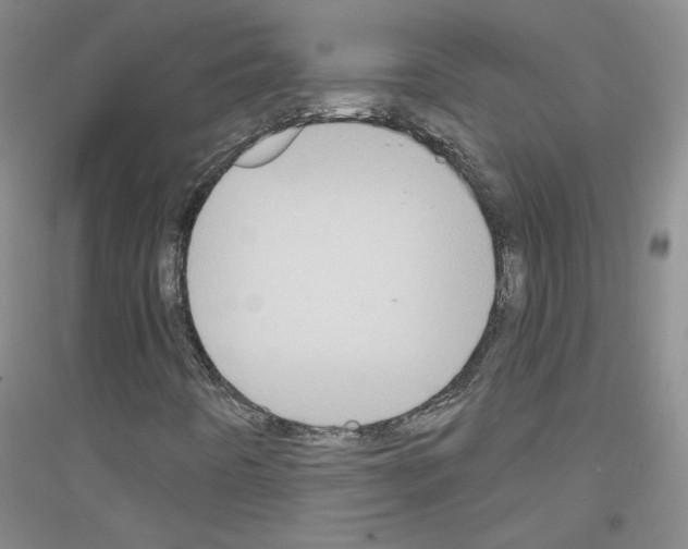 X0000116851442201002021035