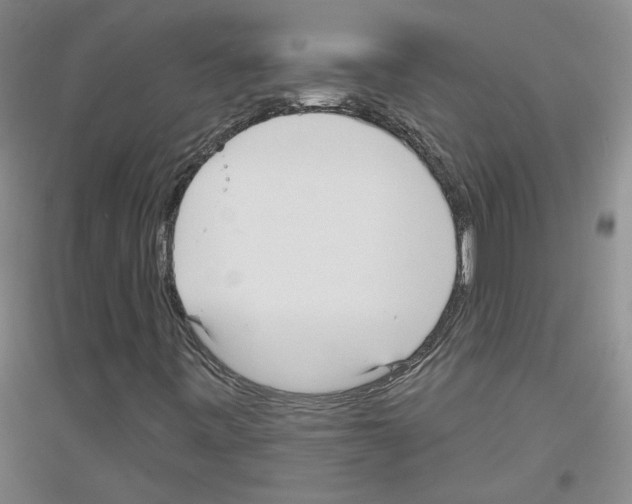 X0000116851443201002021035