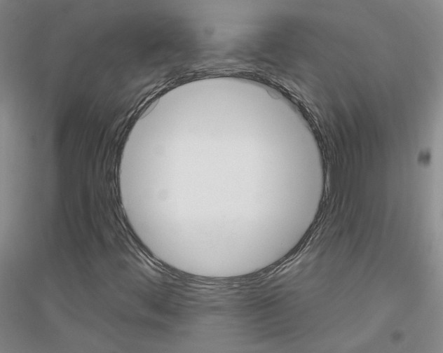 X0000116851444201002021035