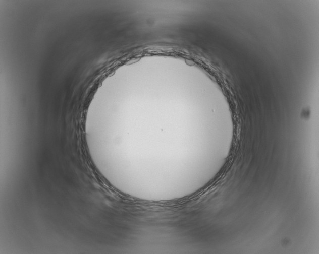 X0000116851445201002021035