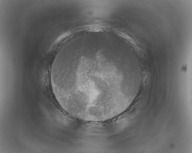 X0000116851446201002021035